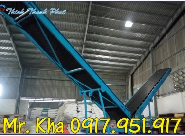 BĂNG TẢI BĂNG CHUYỀN XUẤT NHẬP HÀNG TTP 01